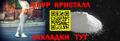 спиды Гатчина