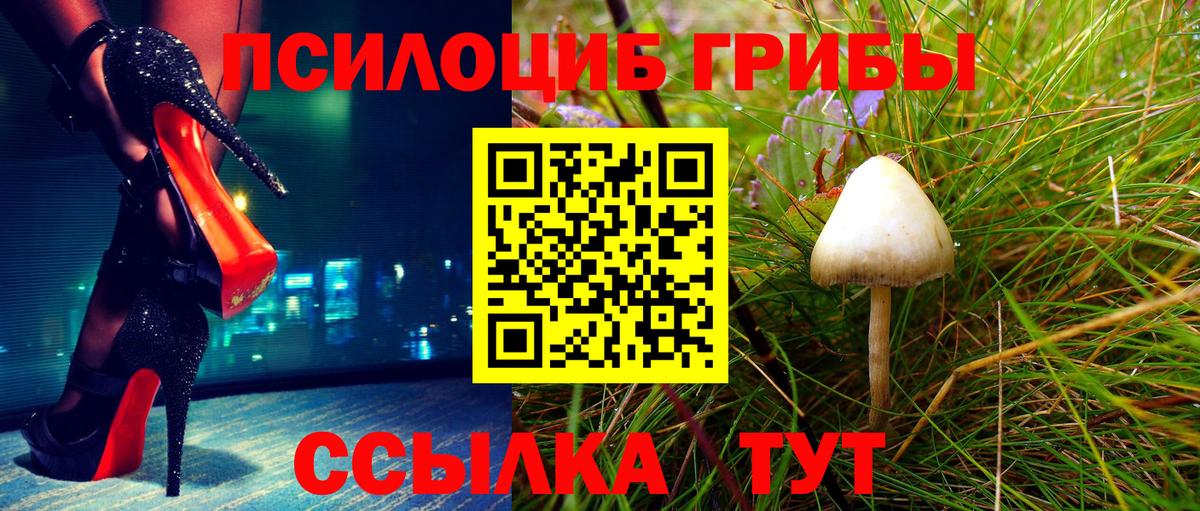 Псилоцибиновые грибы Cubensis  купить закладку  Муравленко  Галлюциногенные грибы Psilocybine cubensis  Вход с VPN 